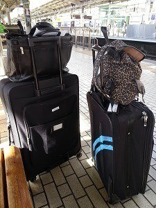 Luggage for two