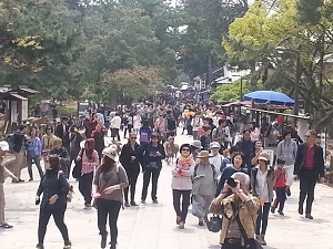 Tourist crowds