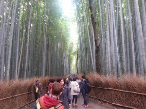 Small Group Tours to Japan