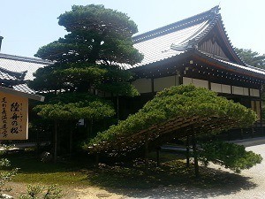 Kinkakuji gardens (goldern pavilion)