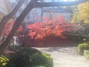 Autumn colour at Meiji Mura Museum near Nagoya