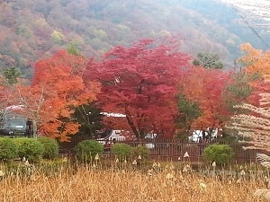 Views from Arashiyama, Kyoto