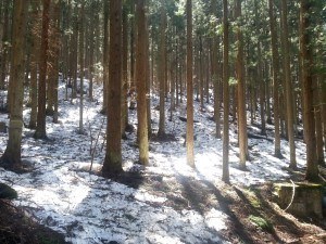 snowy hillside