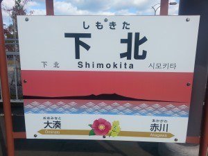 Shimokita pensulia